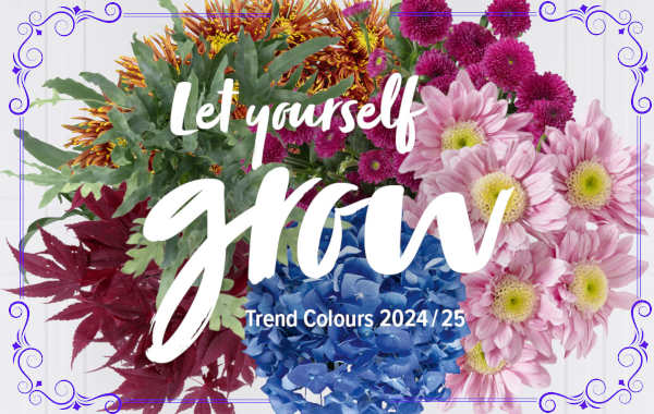 Shop Juzo Trend Farben